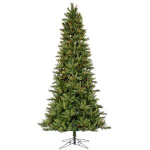  5.5 X 35 Slim Waconia Pine Dura Lit 300 Multi color 