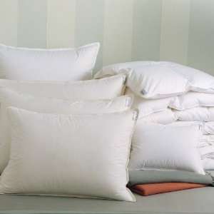  ARCADIA PILLOW STANDARD PILLOW 20X26