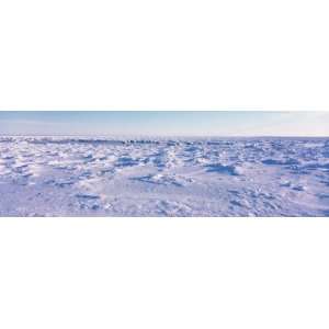  Panoramic View of a Polar Bear Habitat, Hudson Bay, Canada 