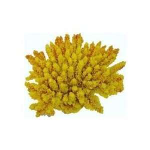   Art Resin Ornament Extra Large Acropora Colony Yellow