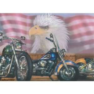  Patriotic American Eagle Motorcycle Wallpaper Border 