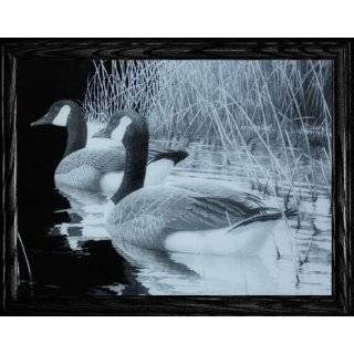   the Journey GEESE ~ High Definition Acid Etched Glass Decor Frame