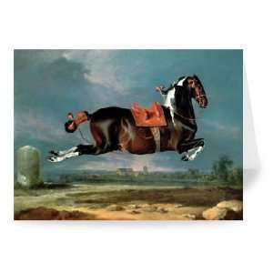  The piebald horse Cehero rearing by   Greeting Card 