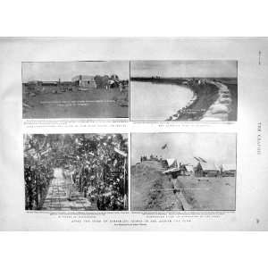  1900 Siege Kimberley Vinery Kenilworth Ladysmith White 