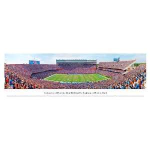  Ben Hill Griffin Stadium Panoramic Print Sports 