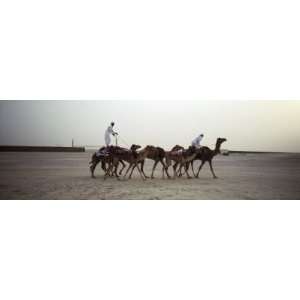  Two Men Riding Camels, United Arab Emirates by Panoramic 