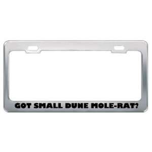 Got Small Dune Mole Rat? Animals Pets Metal License Plate Frame Holder 