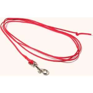 Indoor Drag Line Dog Leash 