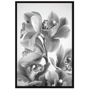  MCS 47372 Vernon Gallery Poster Frame, Black, 24 by 36 