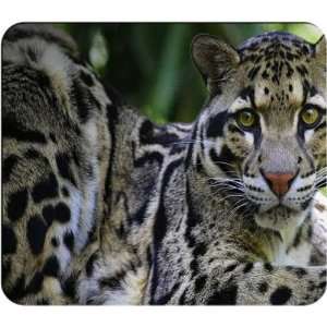  Clouded Leopard Mouse Pad