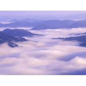  Mist, Pine Mountain Kingdom Come State Park, Appalachian Mountains 