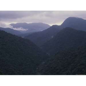  Overview of Mountainous Rain Forest at Twilight 