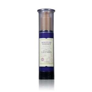 Innisfree Lavender Moisture Essence 40ml + Laneige Water Sleeping Pack 