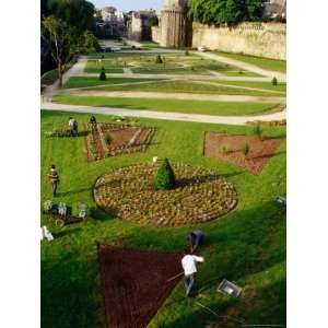 com Gardeners Planting Spring Display Near Medieval Ramparts, Vannes 