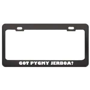 Got Pygmy Jerboa? Animals Pets Black Metal License Plate Frame Holder 