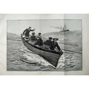   1883 Fine Art Sailing Ship Men Rowing Boat Sea Cox Art