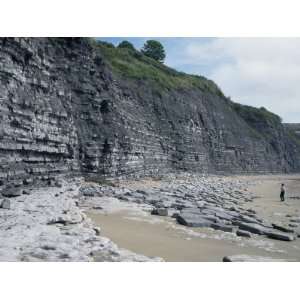  Sedimentary Rocks, Blue Lias, Shale Limestone Sequences 