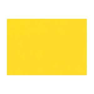    CP CADMIUM YELLOW MED 4OZ OPEN ACRYLIC Arts, Crafts & Sewing