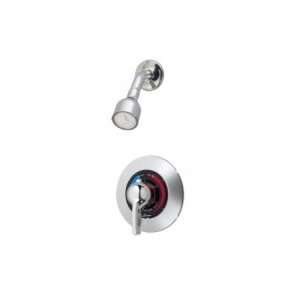   with lever handle and clear flo shower head 25 1