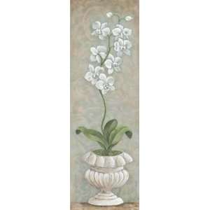  Lavish Orchids I Angela Ferrante. 8.00 inches by 20.00 