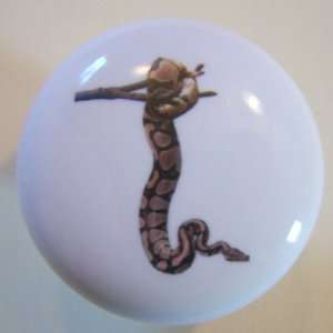 Ball Python Reptile Ceramic Cabinet Drawer Pull Knob