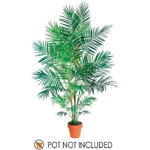  7 Tropical Areca Palm X5 W/861 Lvs.