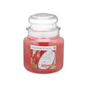  15 Oz Traditions Scented Jar Candle Dragon Fruit.