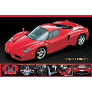  Ferrari   Enzo Ferrari Poster Print