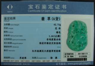 Certified Rich Apple Green Natural Grade A Jade Jadeite Pendant Dragon 