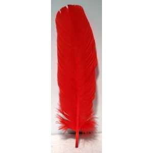  Red Feather 12  