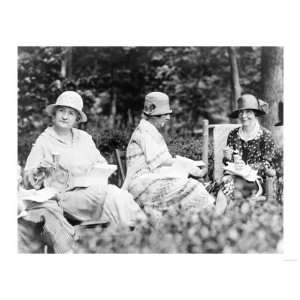  Senator Wives Enjoying a Luncheon Photograph   Washington 