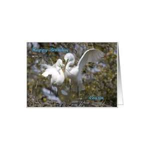  Cousin birthday, Great Egrets nest building Card Health 