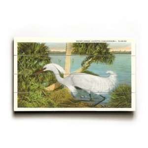  Snowy Egret, Florida , 23x14