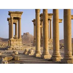  Spectacular Ruined City of Palmyra, Syria Photographic 