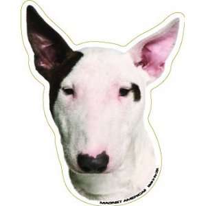  Bull Terrier Automotive