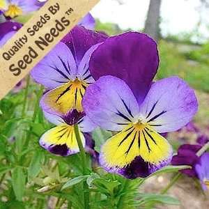  600 Seeds, Viola Johnny Jump Up (Viola tricolor) Seeds 