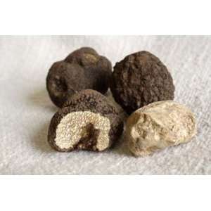 Fresh Italian truffles Grocery & Gourmet Food