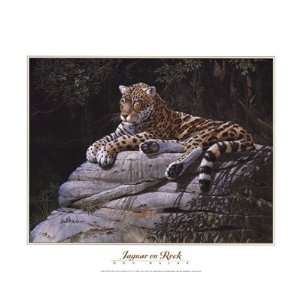   Jaguar on Rock Finest LAMINATED Print Don Balke 20x16