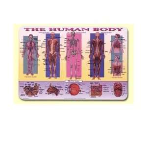  Human Body Placemat   M. Ruskin (21800 1) Toys & Games