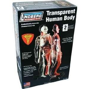  Transparent Human Body 1 6 Lindberg Toys & Games