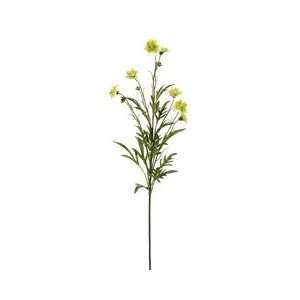  Faux 29 Coreopsis Spray Green (Pack of 12) Beauty