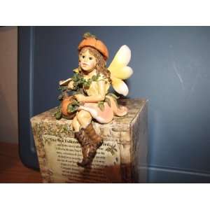  Boyds Autumn L. Faeriefrost Wee Folkstones mint in box 