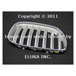  BMW Genuine Grill / Grille, front, right for X5 3.0i X5 4.4i X5 