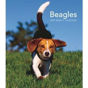 Beagles 2009 Hardcover Weekly Engagement Calendar Office 