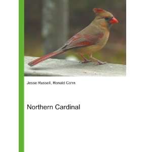 Northern Cardinal Ronald Cohn Jesse Russell  Books