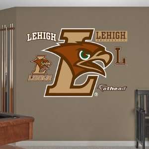  Lehigh Mountain Hawks Logo Fathead 