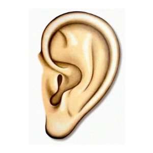  Human Ear Doctor Audio Audiologist Ear Candy Round 