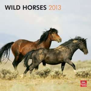  Wild Horses 2013 Wall Calendar 12 X 12