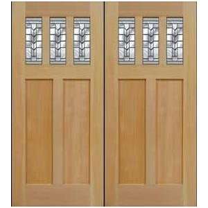 Exterior Door Craftsman Tianna Two Panel Three Lite Pair (Single also 