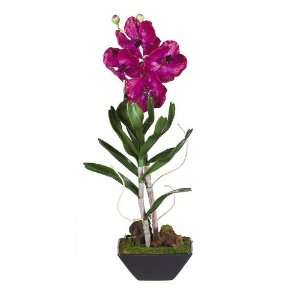 Vanda w/Black Vase Silk Flower Arrangement